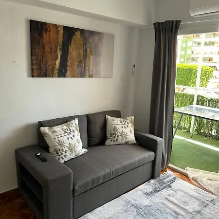 Seashell In Apartment
