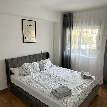 Apartment Seashell In
