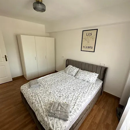 Seashell In Apartman